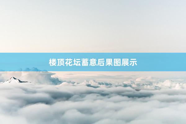 楼顶花坛蓄意后果图展示