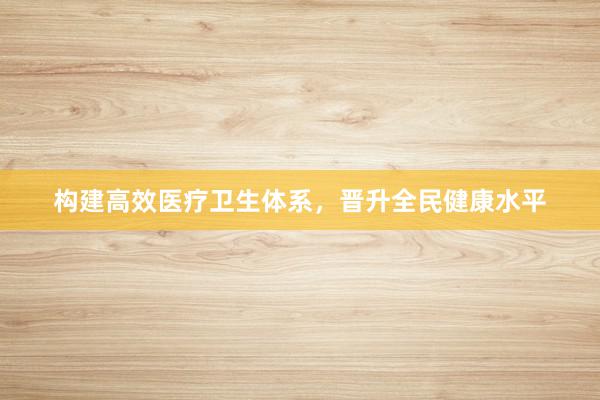 构建高效医疗卫生体系，晋升全民健康水平