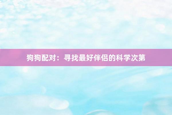 狗狗配对：寻找最好伴侣的科学次第